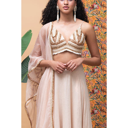 RISHI & VIBHUTI Touch of Rose Lehenga (Set of 3)