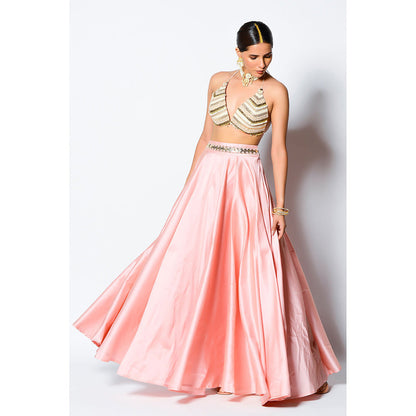 Rishi & Vibhuti Ba-Dastoor Bralette with Skirt (Set of 2)