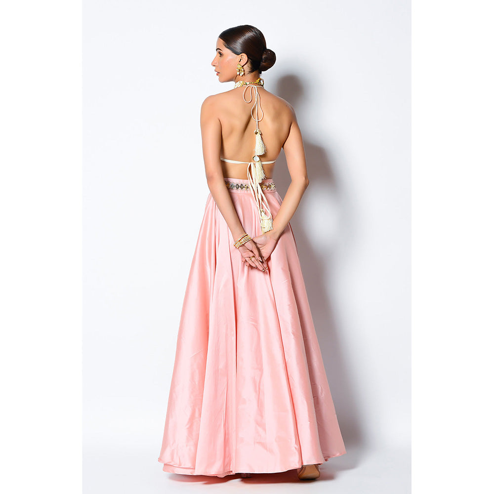 Rishi & Vibhuti Ba-Dastoor Bralette with Skirt (Set of 2)