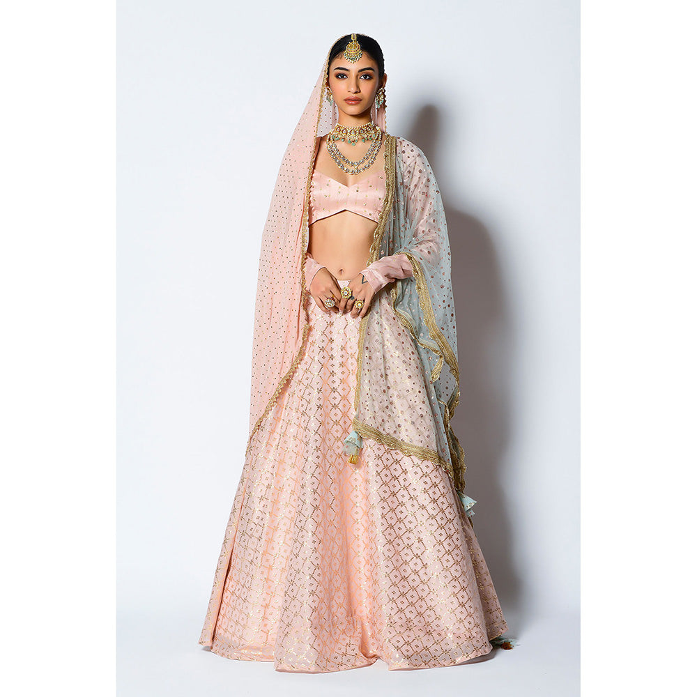 Rishi & Vibhuti Zuri Blouse with Skirt & Two Dupatta's (Set of 4)