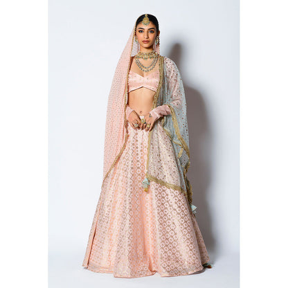 Rishi & Vibhuti Zuri Blouse with Skirt & Two Dupatta's (Set of 4)