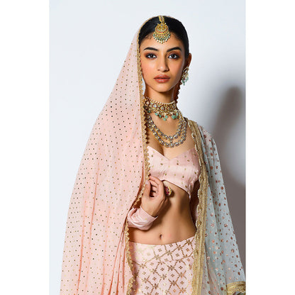 Rishi & Vibhuti Zuri Blouse with Skirt & Two Dupatta's (Set of 4)