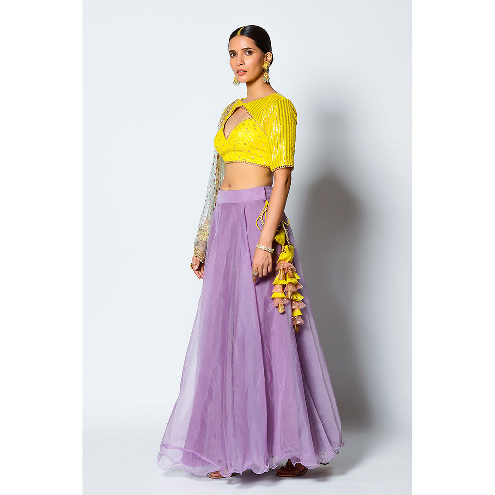 Rishi & Vibhuti Gauhar Blouse with Skirt & Dupatta (Set of 3)