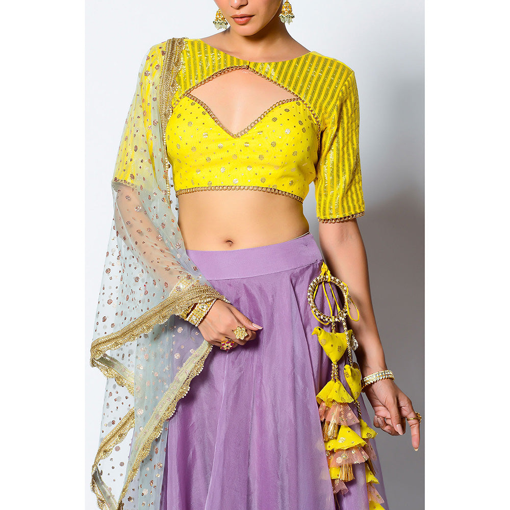 Rishi & Vibhuti Gauhar Blouse with Skirt & Dupatta (Set of 3)