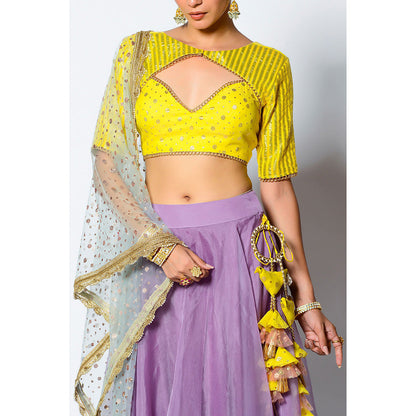 Rishi & Vibhuti Gauhar Blouse with Skirt & Dupatta (Set of 3)