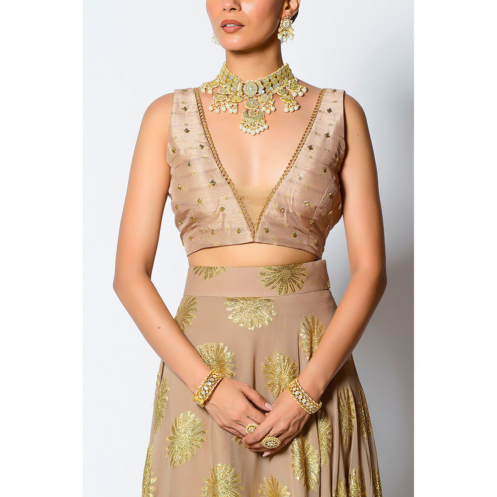 Rishi & Vibhuti Zalk Blouse with Skirt (Set of 2)