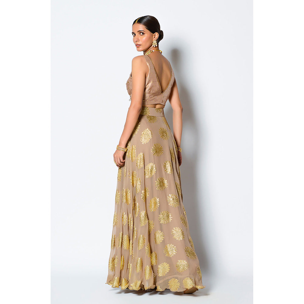 Rishi & Vibhuti Zalk Blouse with Skirt (Set of 2)