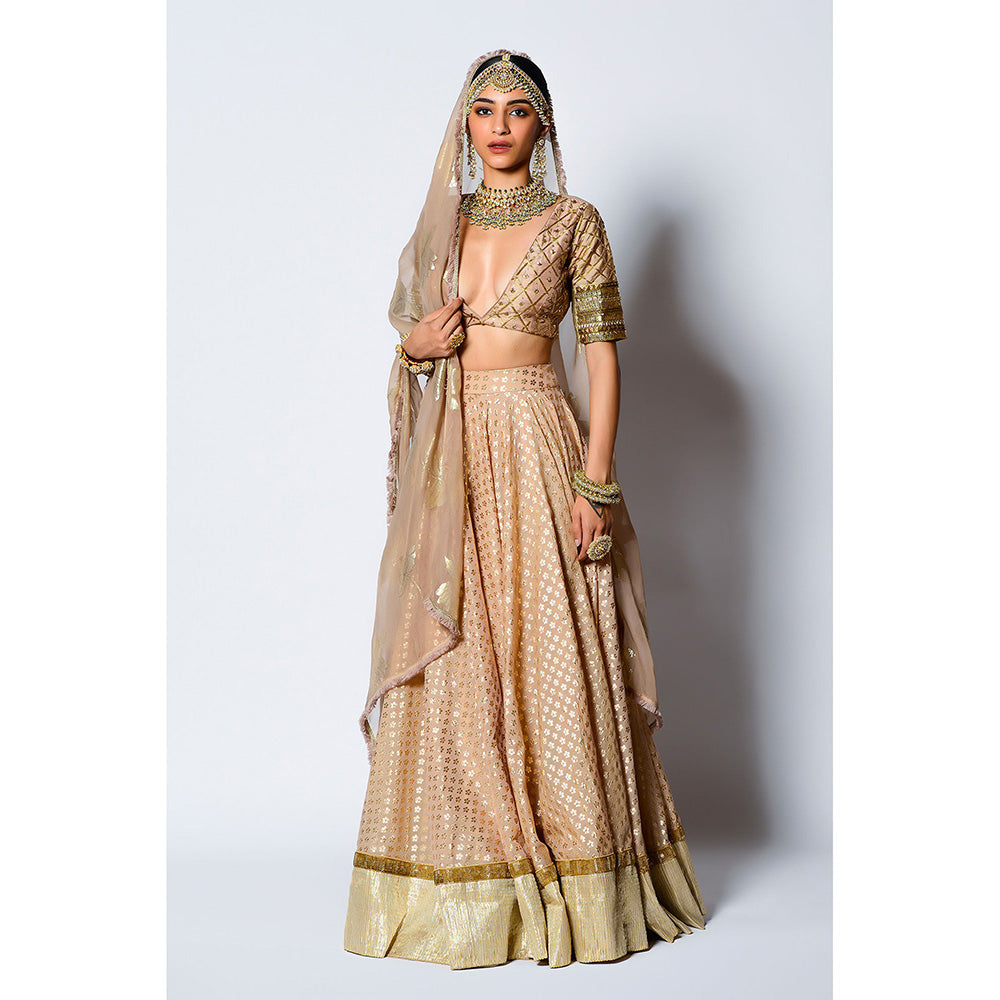 Rishi & Vibhuti Malang Blouse with Skirt & Dupatta (Set of 3)