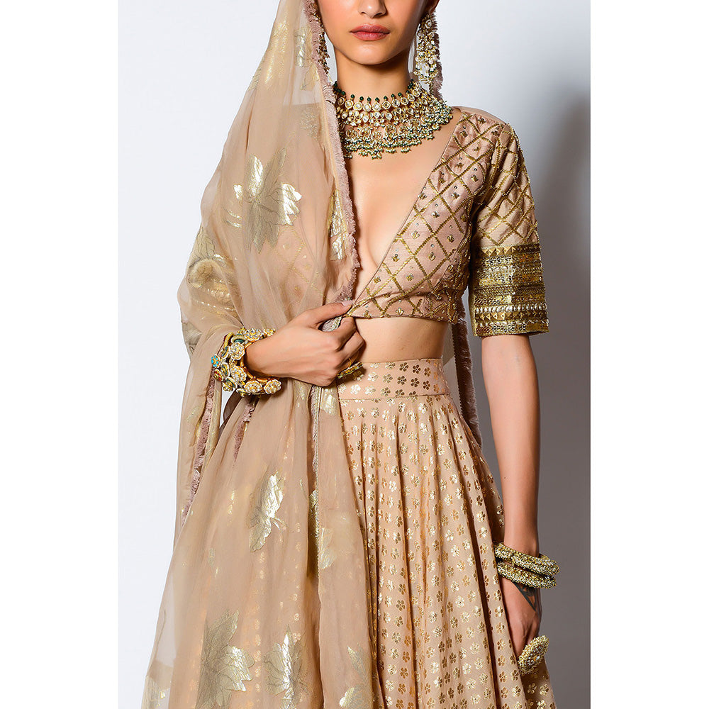 Rishi & Vibhuti Malang Blouse with Skirt & Dupatta (Set of 3)