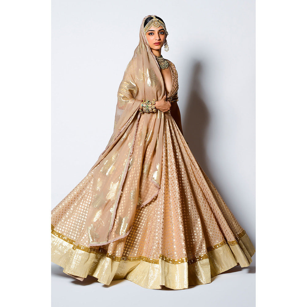 Rishi & Vibhuti Malang Blouse with Skirt & Dupatta (Set of 3)