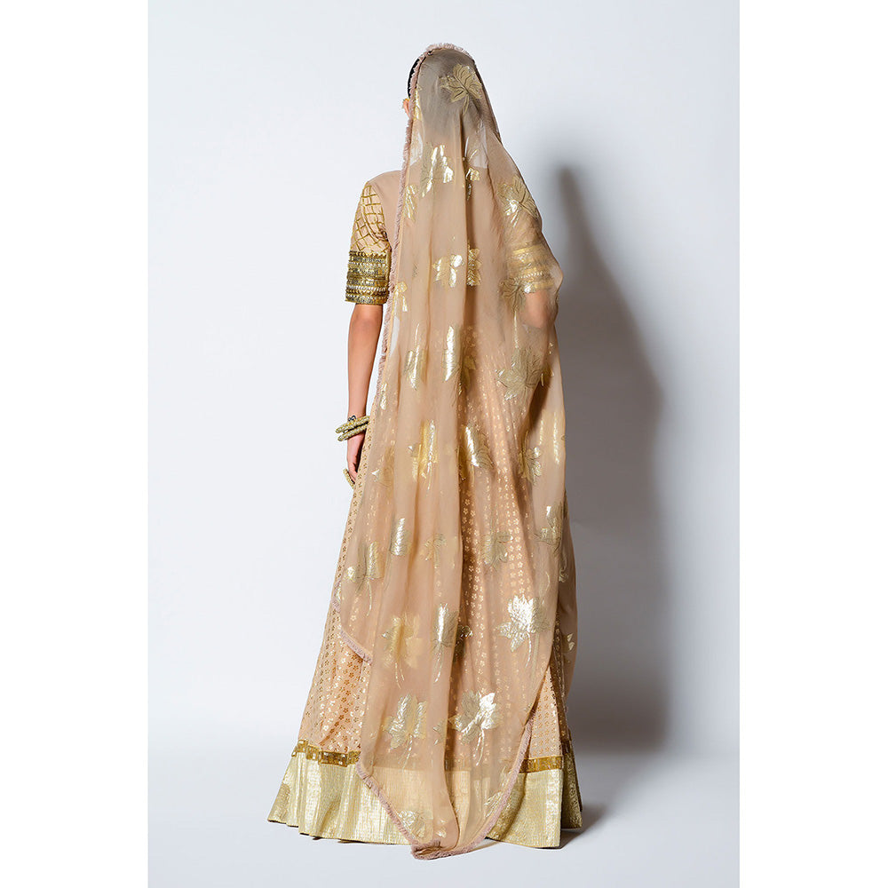 Rishi & Vibhuti Malang Blouse with Skirt & Dupatta (Set of 3)