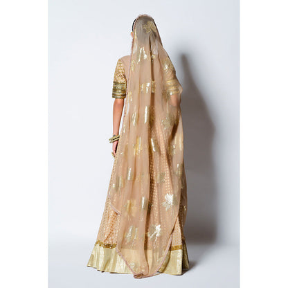 Rishi & Vibhuti Malang Blouse with Skirt & Dupatta (Set of 3)