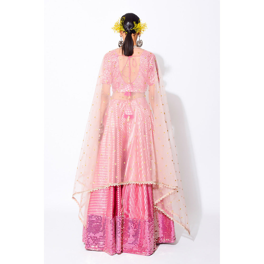 Rishi & Vibhuti Ariel Blouse with Skirt & Dupatta (Set of 3)