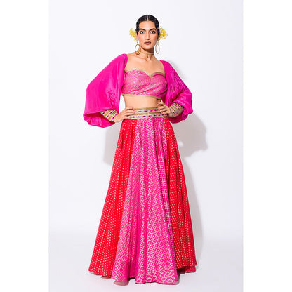 Rishi & Vibhuti Grace Blouse with Skirt (Set of 2)