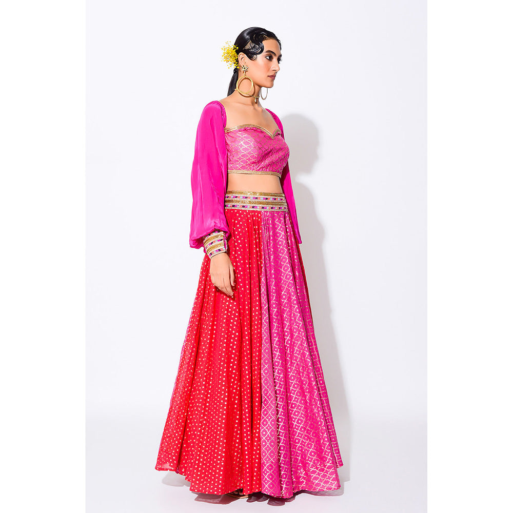 Rishi & Vibhuti Grace Blouse with Skirt (Set of 2)