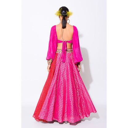 Rishi & Vibhuti Grace Blouse with Skirt (Set of 2)