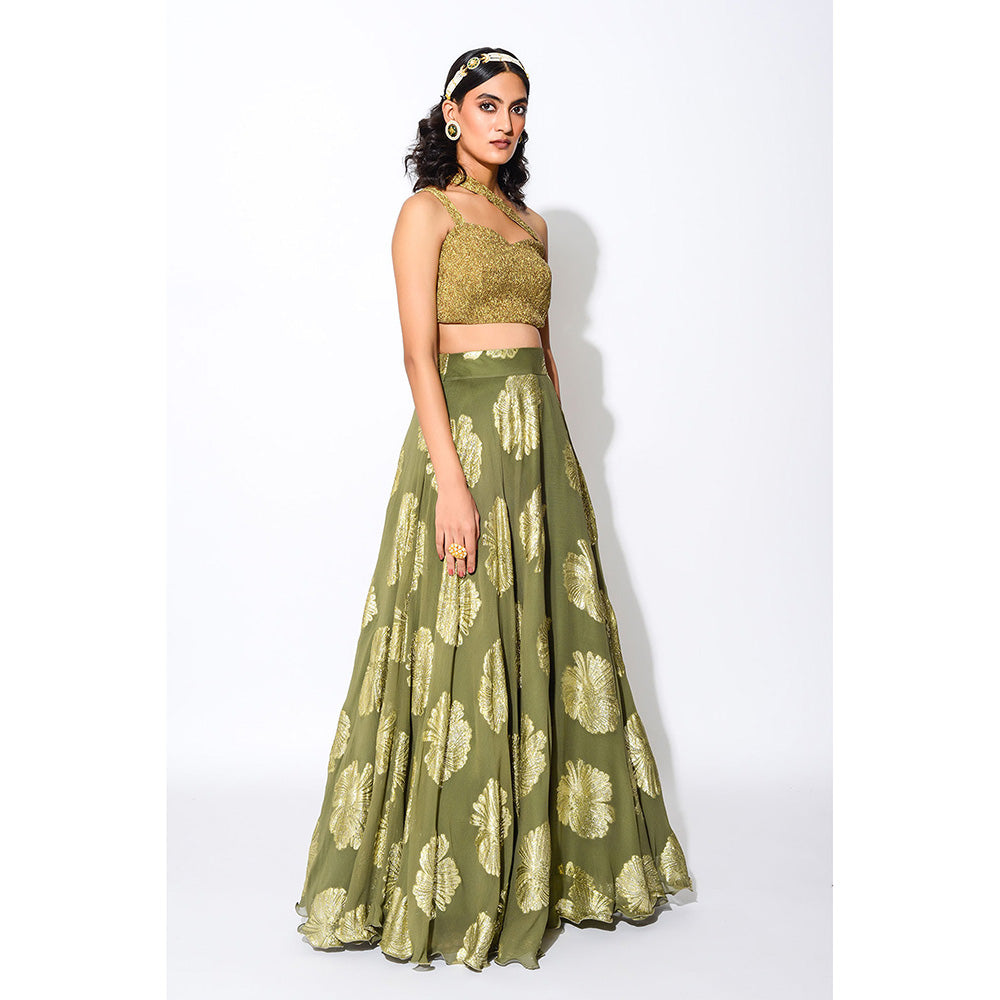 Rishi & Vibhuti Olive & Gold Circular Skirt and Blouse (Set of 2)