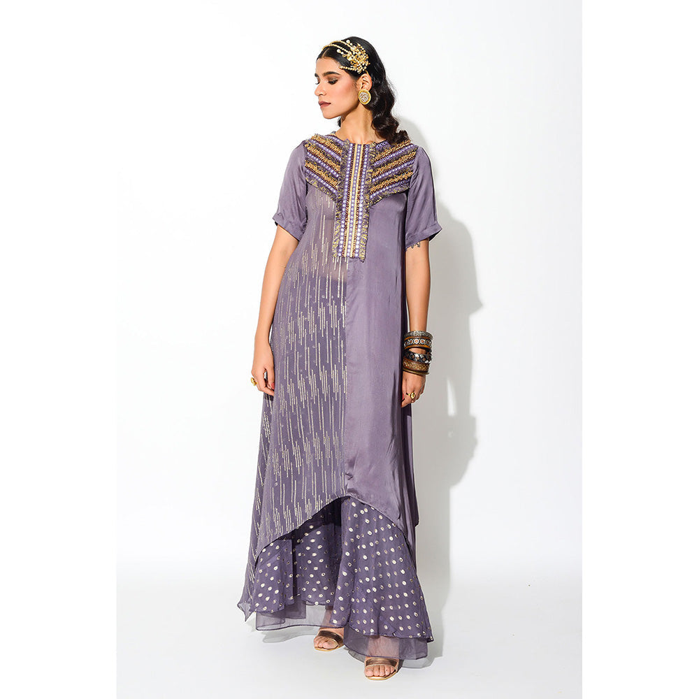 Rishi & Vibhuti Kurta with Palazzo (Set of 2)