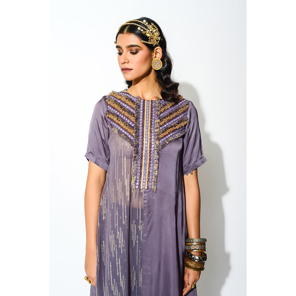 Rishi & Vibhuti Kurta with Palazzo (Set of 2)