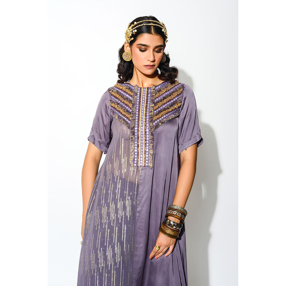 Rishi & Vibhuti Kurta with Palazzo (Set of 2)