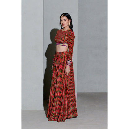 Rishi & Vibhuti Delta Cuff Lehanga (Set of 2)
