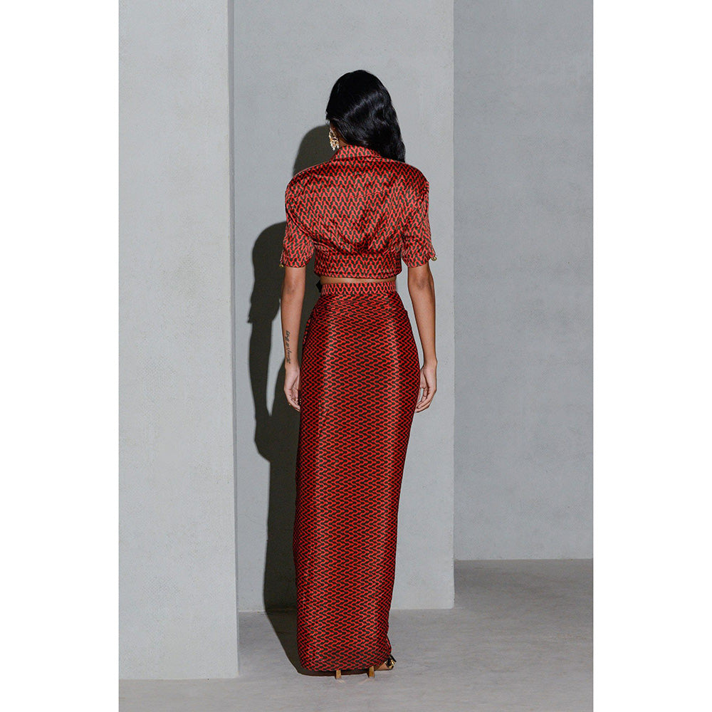 Rishi & Vibhuti Dusk & Dawn Top with Skirt (Set of 2)