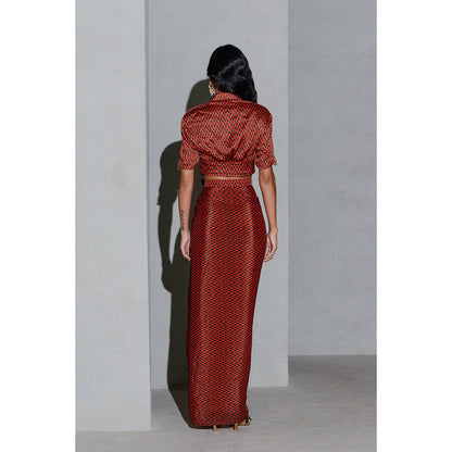 Rishi & Vibhuti Dusk & Dawn Top with Skirt (Set of 2)