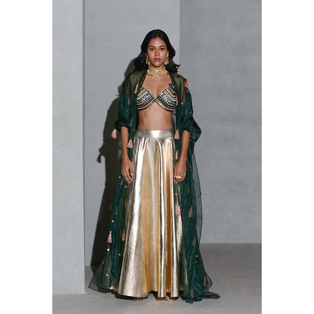 Rishi & Vibhuti Cosmic Shimmer Meadow Blouse with Lehenga and Cape (Set of 3)