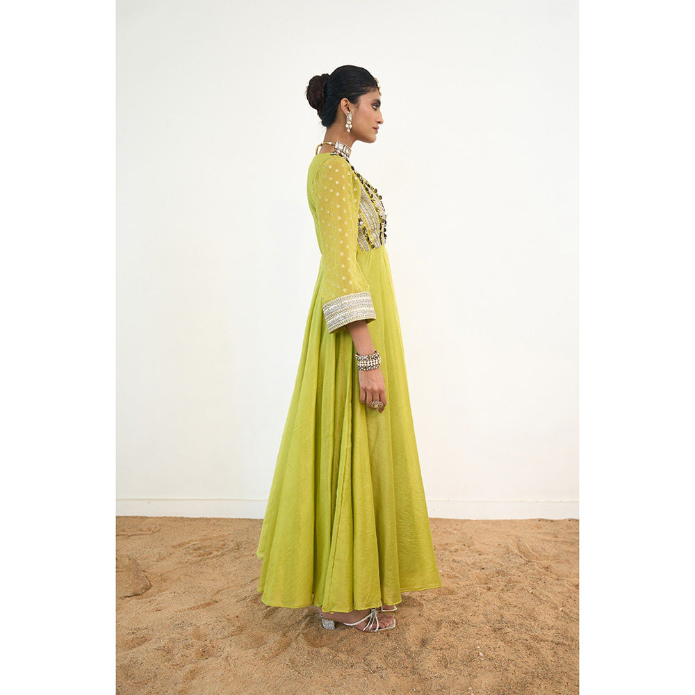 Rishi & Vibhuti Asteria Anarkali With Dupatta (Set of 2)