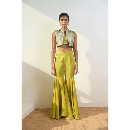 Rishi & Vibhuti Taysa Jacket With Sharara And Blouse (Set of 3)