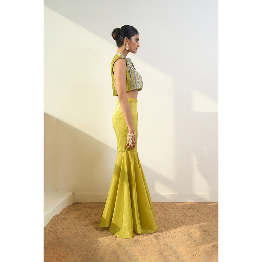 Rishi & Vibhuti Taysa Jacket With Sharara And Blouse (Set of 3)