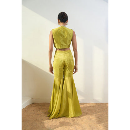 Rishi & Vibhuti Taysa Jacket With Sharara And Blouse (Set of 3)