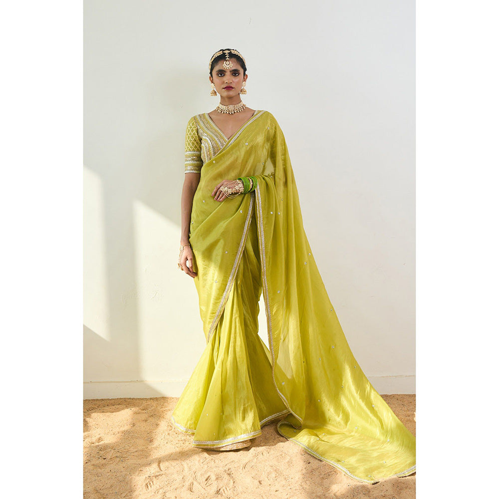 Rishi & Vibhuti Elyse Saree With Stitched Blouse
