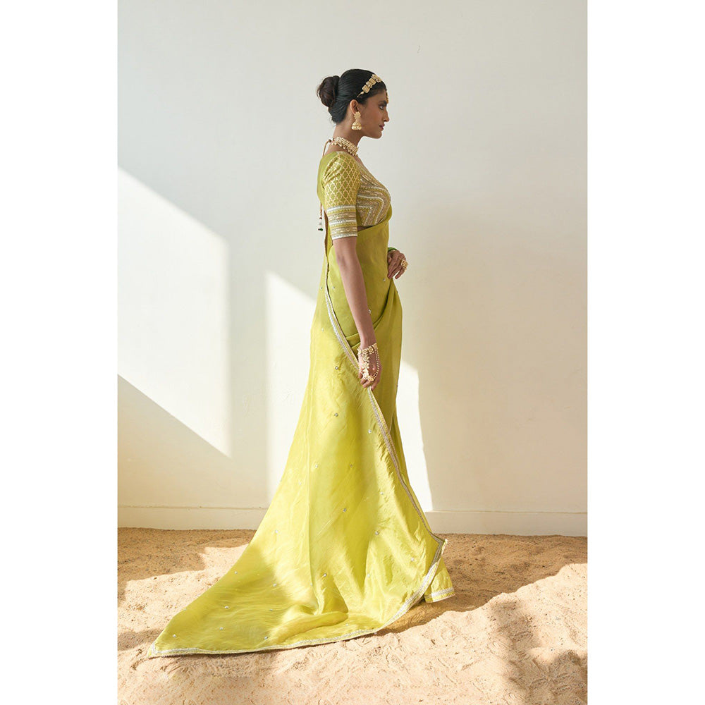 Rishi & Vibhuti Elyse Saree With Stitched Blouse