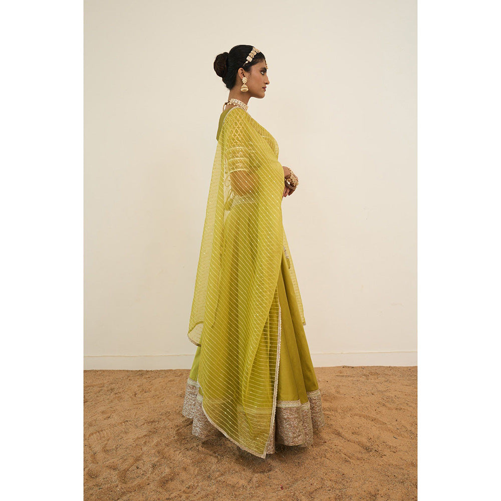 Rishi & Vibhuti Aveline Lehenga With Blouse And Dupatta (Set of 3)