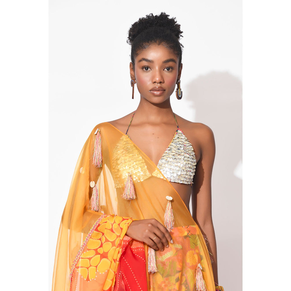 Rishi & Vibhuti Multi Colour Spectrum Blouse with Lehenga and Dupatta (Set of 3)