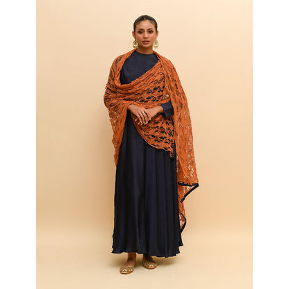 Rishi & Vibhuti Blue Anarkali with Dupatta (Set of 2)