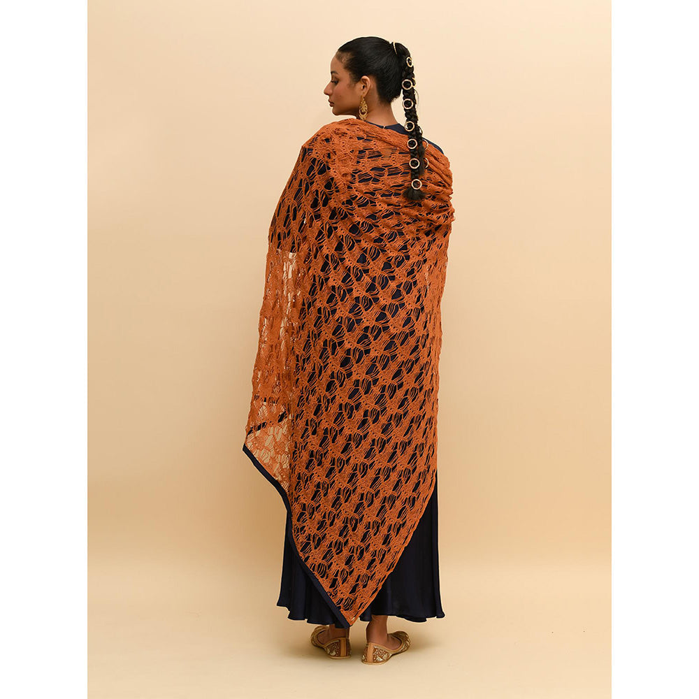 Rishi & Vibhuti Blue Anarkali with Dupatta (Set of 2)