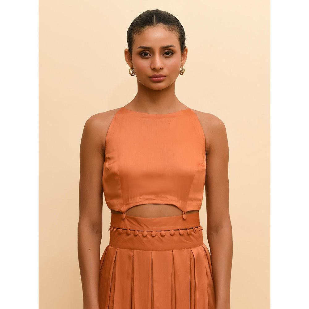 Rishi & Vibhuti Tan Pleated Mini Dress