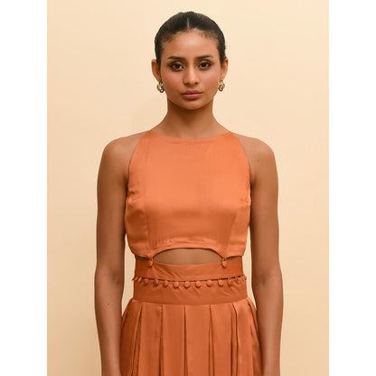 Rishi & Vibhuti Tan Pleated Mini Dress