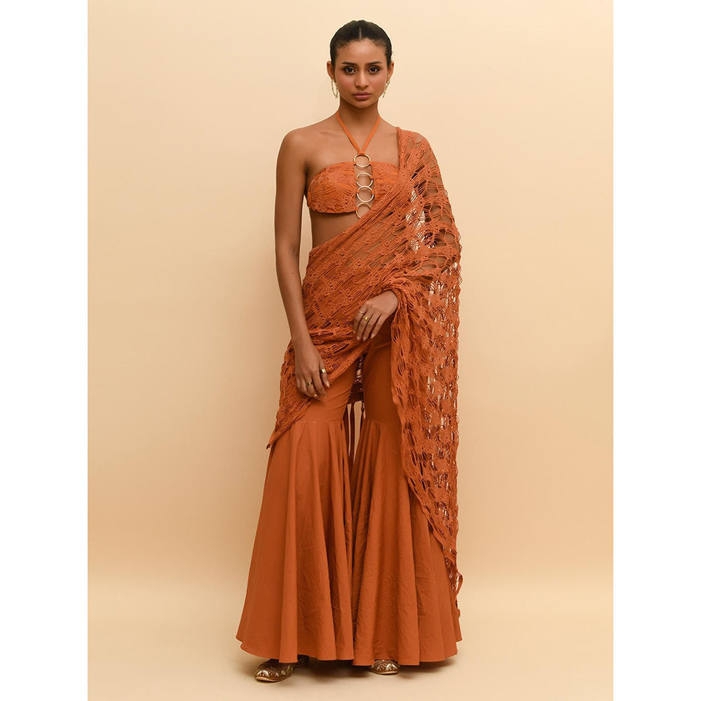 Rishi & Vibhuti Tan Contemporary Mesh Bralette with Sharara and Draped (Set of 3)