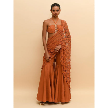 Rishi & Vibhuti Tan Contemporary Mesh Bralette with Sharara and Draped (Set of 3)