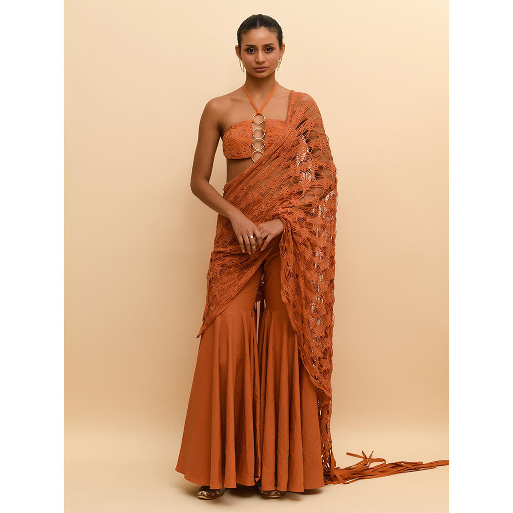 Rishi & Vibhuti Tan Contemporary Mesh Bralette with Sharara and Draped (Set of 3)