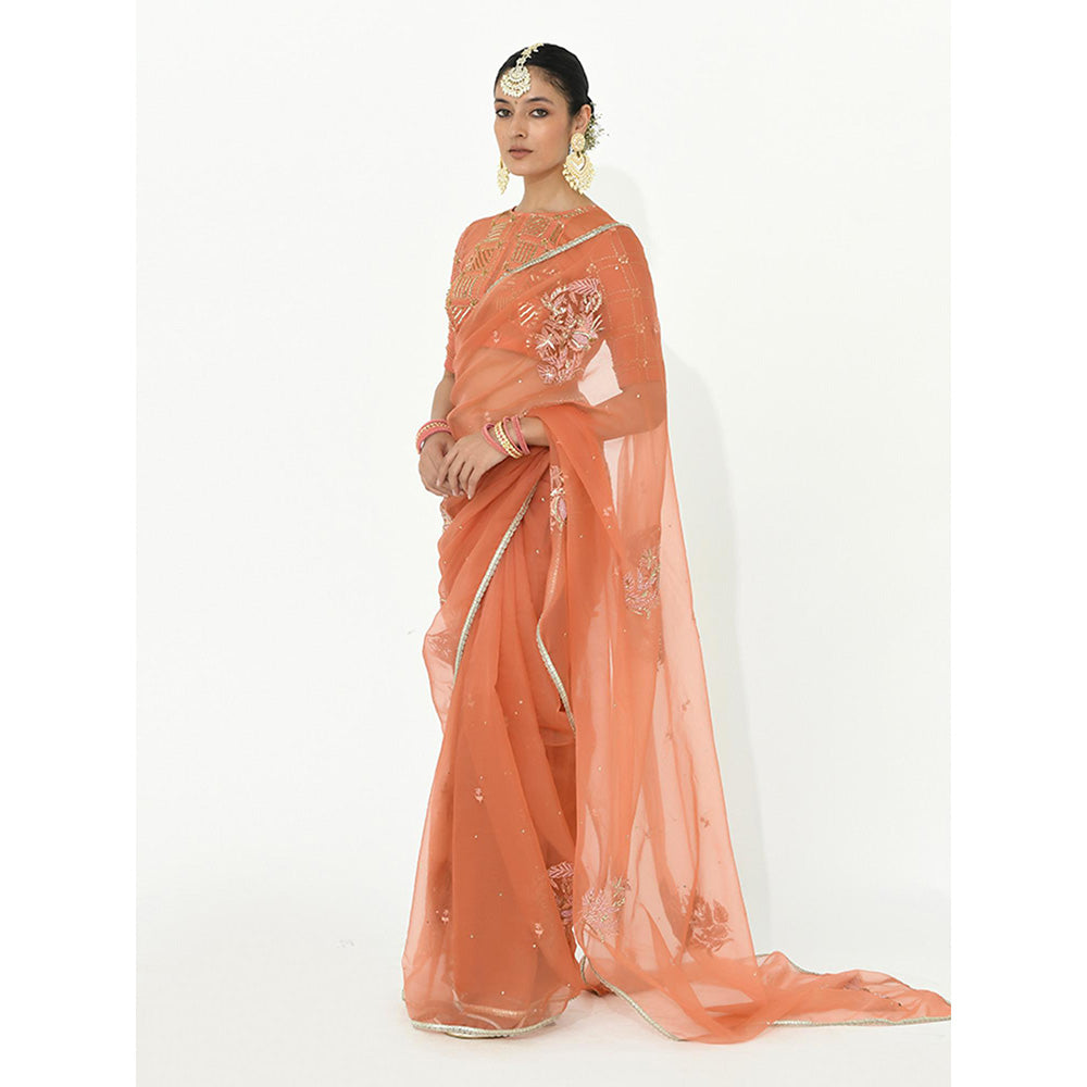 Rishi & Vibhuti Coral Amber Embroidered Saree with Stitched Blouse