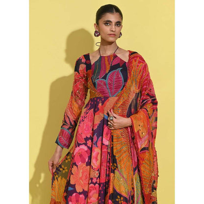 Rishi & Vibhuti Multi-Colour Jeh Anarkali with Dupatta (Set of 2)