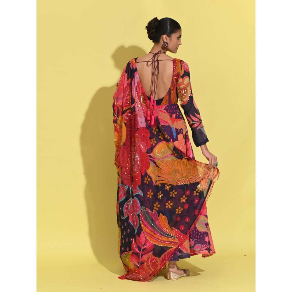 Rishi & Vibhuti Multi-Colour Jeh Anarkali with Dupatta (Set of 2)