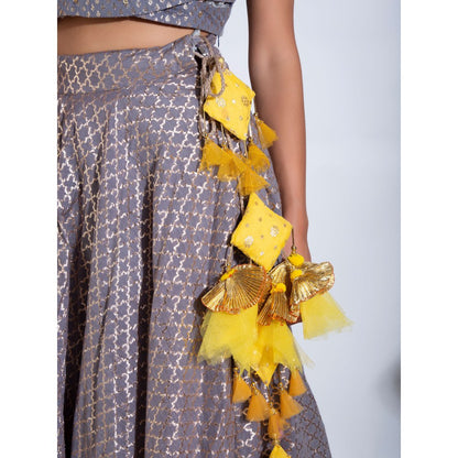 Rishi & Vibhuti Grey Chanderi Stitched Blouse With Dupatta Lehenga (Set of 3)