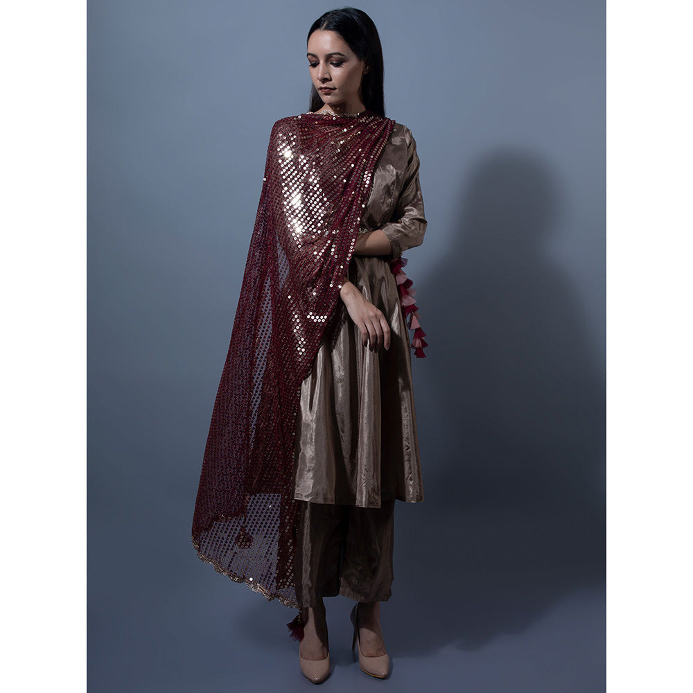 Rishi & Vibhuti Metallic Embellished Anarkali With Palazzo (Set of 2)