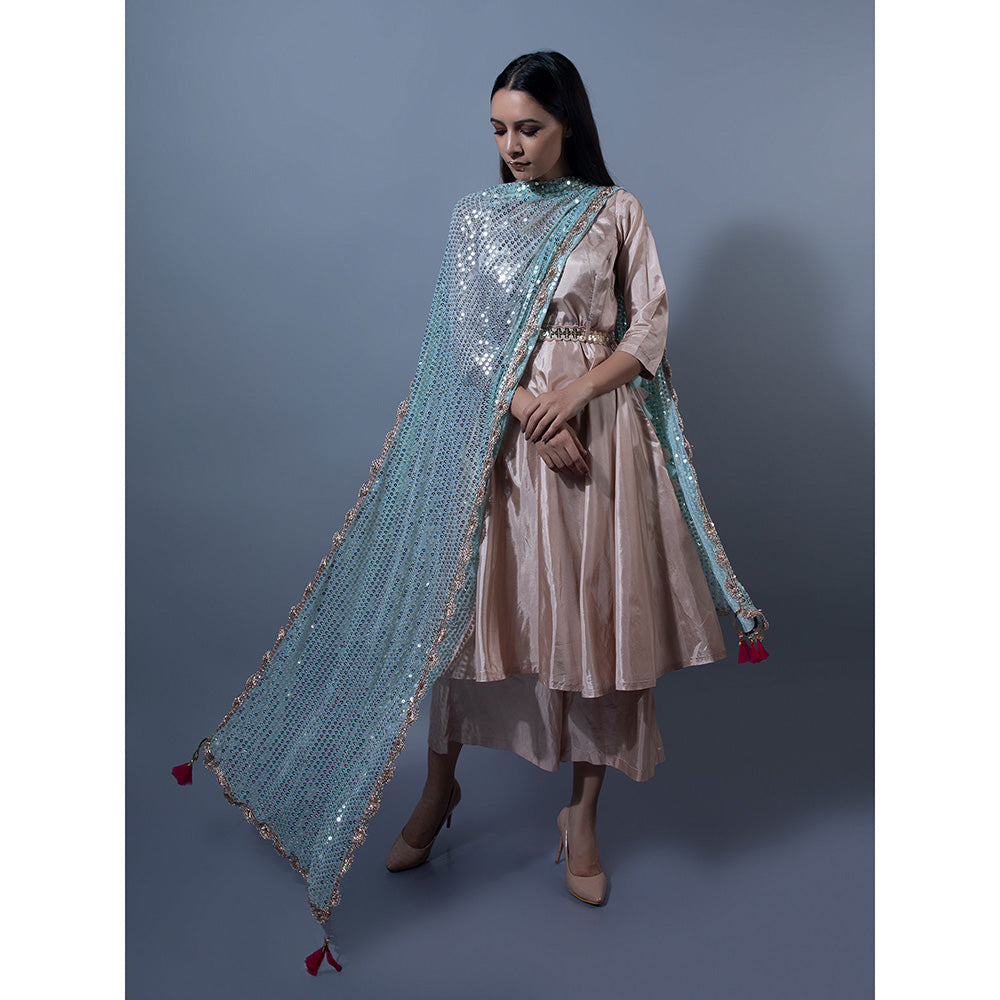 Rishi & Vibhuti Metallic Anarkali With Palazzo (Set of 2)