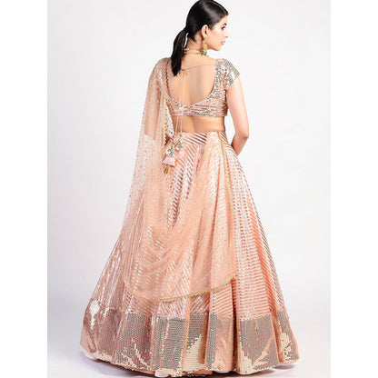 Rishi & Vibhuti Sunset Drive Peach Embellished Lehenga With Blouse & Dupatta (Set of 3)